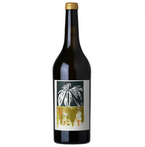Sine Qua Non Distenta I White 2019 - 추가할인!